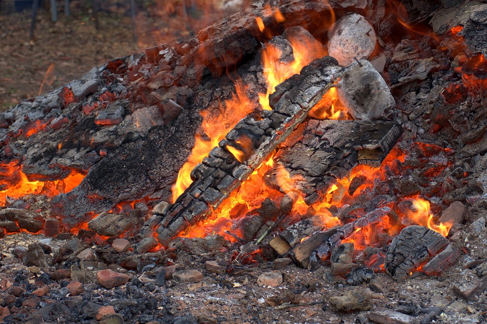 cendres feu bois
